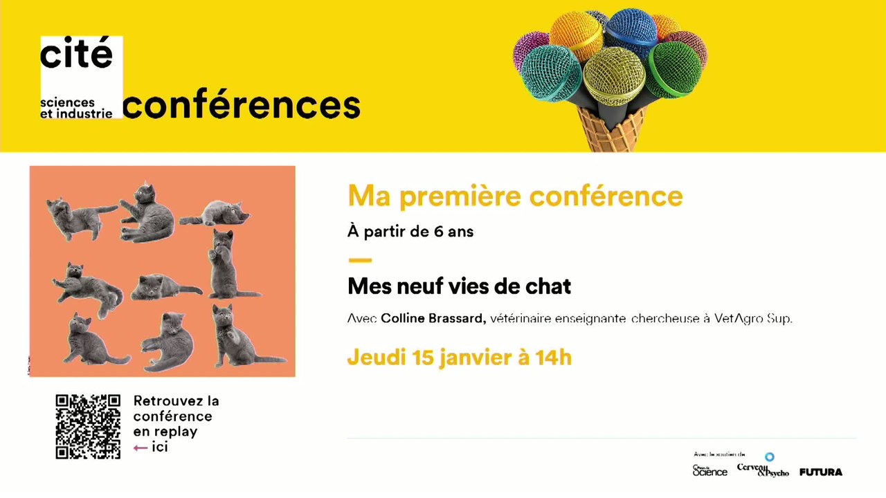 MPC : Mes 9 vies de chat