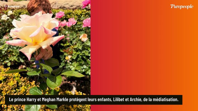 Meghan Markle et Harry : Leur fils Archie, qui a hérité de la rousseur de son père, a bien grandi