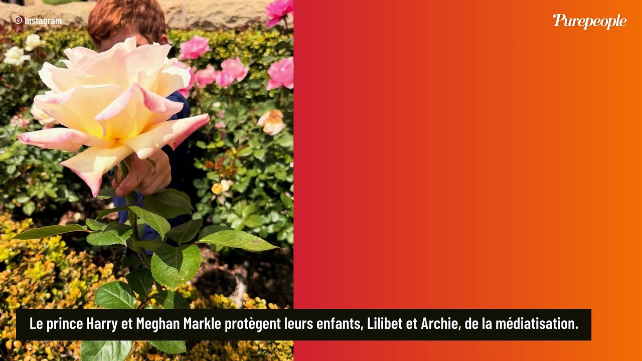 Meghan Markle et Harry : Leur fils Archie, qui a hérité de la rousseur de son père, a bien grandi