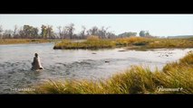 Bande-annonce The Madison