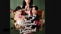Just Married Just Divorced Drama Movies English Sub