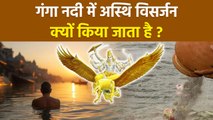 Asthi Visarjan In Ganga: Ganga Nadi Me Asthi Visarjan Kyu Hota Hai | गंगा में अस्थि विसर्जन का महत्व