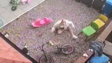 Girl's attempt to leave the wall ends in a hilarious bicycle stumble