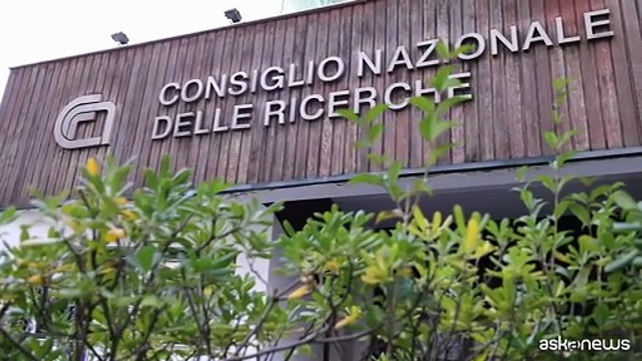 Farmaci RNA, risultati Spoke 6 Centro Nazionale Terapia Genica