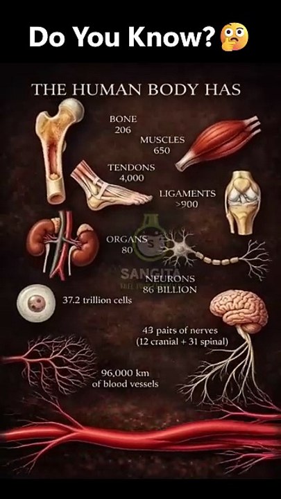 secrets of the human body and universe #humanbody #sciencefacts #didyouknow
