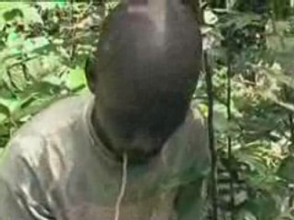 Iboga - Les hommes du bois sacré 1