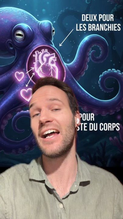 La PIEUVRE a 3 COEURS