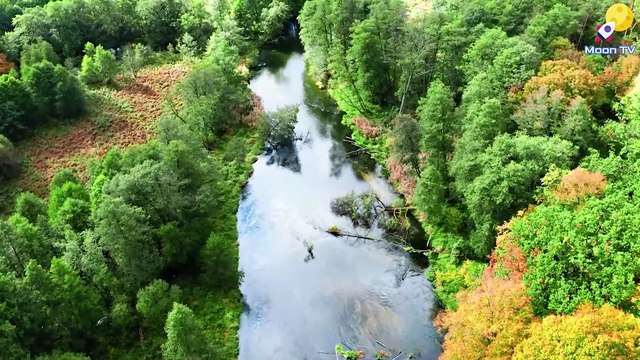 Relaxing Music, Meditation Music, Sleep Music, Calming Music, Healing Music, Zen Meditation, Mindfulness Meditation, Yoga Meditation, Stress Relief Music, Mindfulness Music, Instrumental