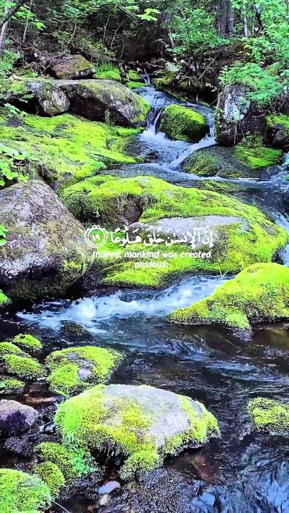 🔥Surah Al-Maarij 70:19–23 — سورة المعارج⚡➡️🤍 #love #Quran #Viral #shorts #trending #YouTubeShorts