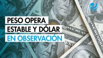 Peso mexicano opera estable contra el dólar en mercado atento a Donald Trump