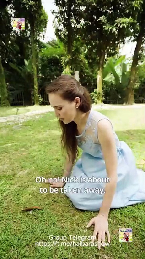 Hidden Companionship Full HD 2026 Full HD Movie