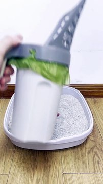 Cute little cat cleaning shovel