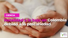Natalidad a la baja en Colombia debido a la precariedad.