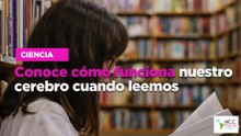Conoce cómo funciona nuestro cerebro cuando leemos