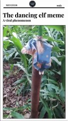 The dancing elf meme