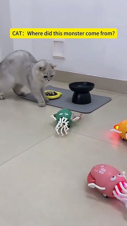 Octopus Cat Toy