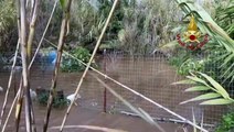 Maltempo. Cani in pericolo per la piena del Rio Piscinas, salvati dai Vigili del fuoco