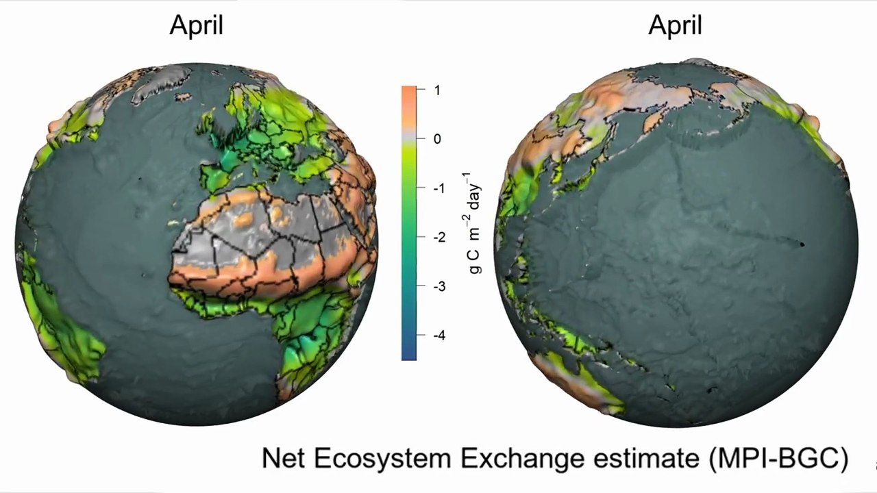Earth's Annual CO2 Levels