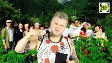 TOP 5 krajów, w których lepiej nie palić marihuany | WeedWeek 1