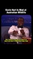Kevin Hart contre la faune australienne #shorts