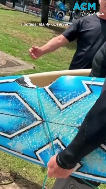 Beaches closed after three shark attacks in just 24 hours