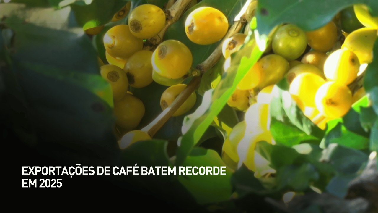Exportações de café batem recorde em 2025