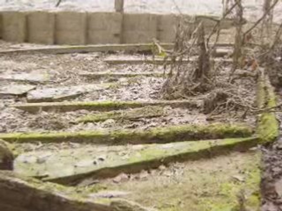 Le pour et le contre