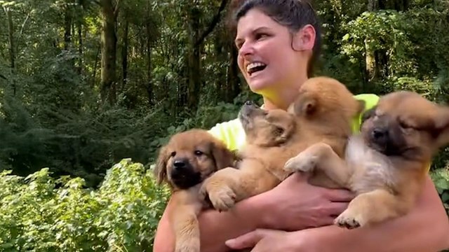 Woman Comes Home With Not One, But Two Litters Of Puppies