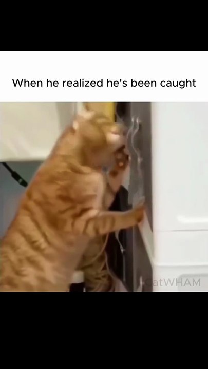 1000305892