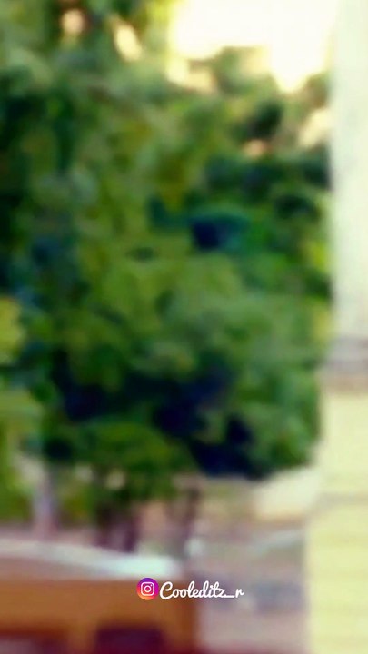 that pain when the loved one itself won't under | Tamil Reels 💔✨ | Trending Reel