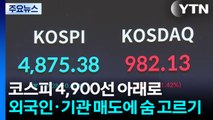 코스피 4,900선 아래로...외국인·기관 매도에 숨 고르기 / YTN