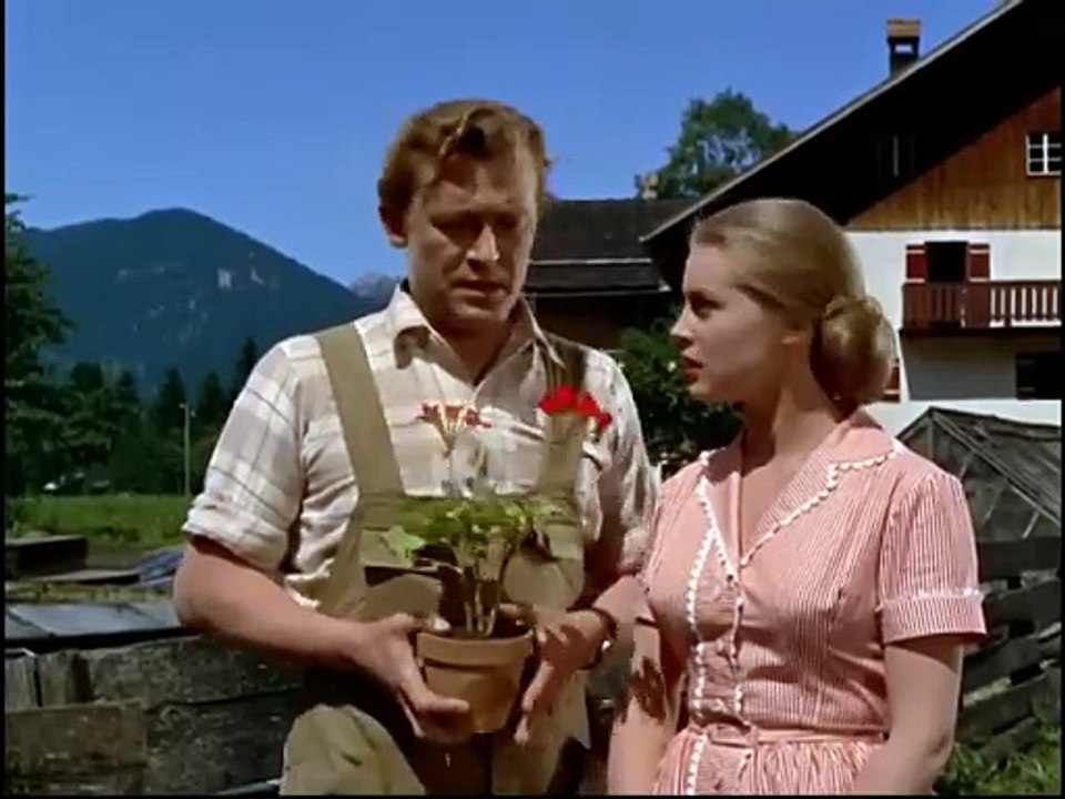 Wenn die Alpenrosen blühn - 1955