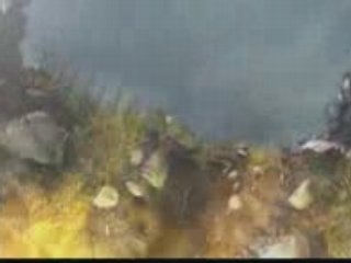 Warcraft III - Bande annonce