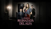 Persiguiendo a su esposa Alfa rechazada