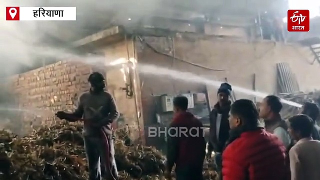 यमुनानगर की प्लाइवुड फैक्ट्री में भीषण आग, बाउलर की चिंगारी से भड़की लपटें, लाखों का नुकसान