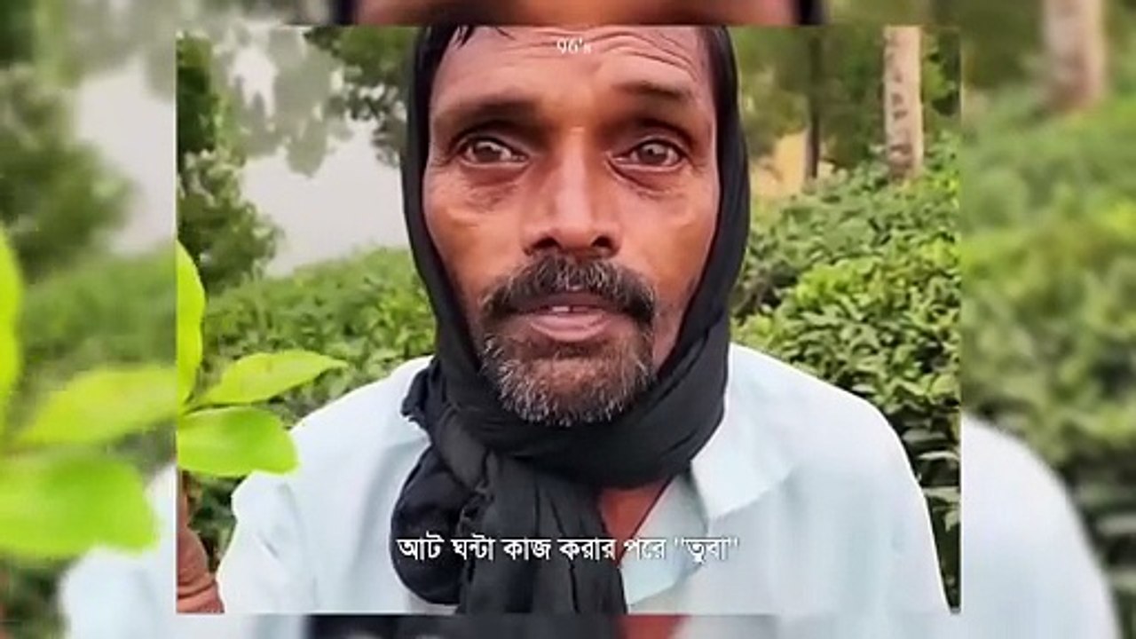 ফ্যামিলি কার্ড  নতুন ধান্দার দোকান || Pinaki Bhattacharya || The Untold