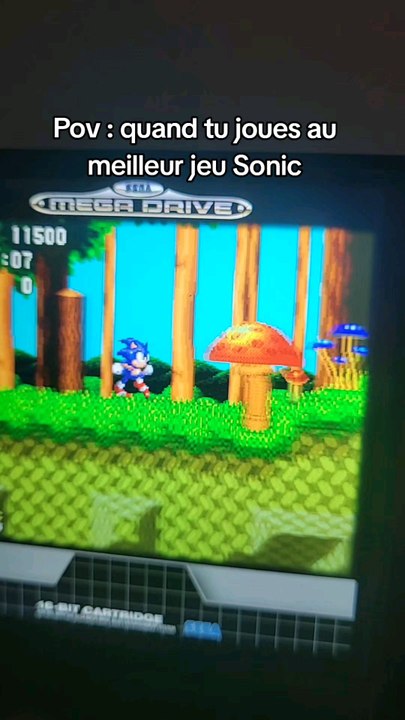 Sonic et Knuckes c'est la vie !!!