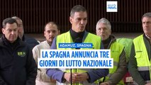 Spagna, Sánchez decreta 3 giorni di lutto per la tragedia di Adamuz: 