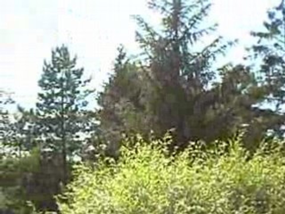 CLIP0028