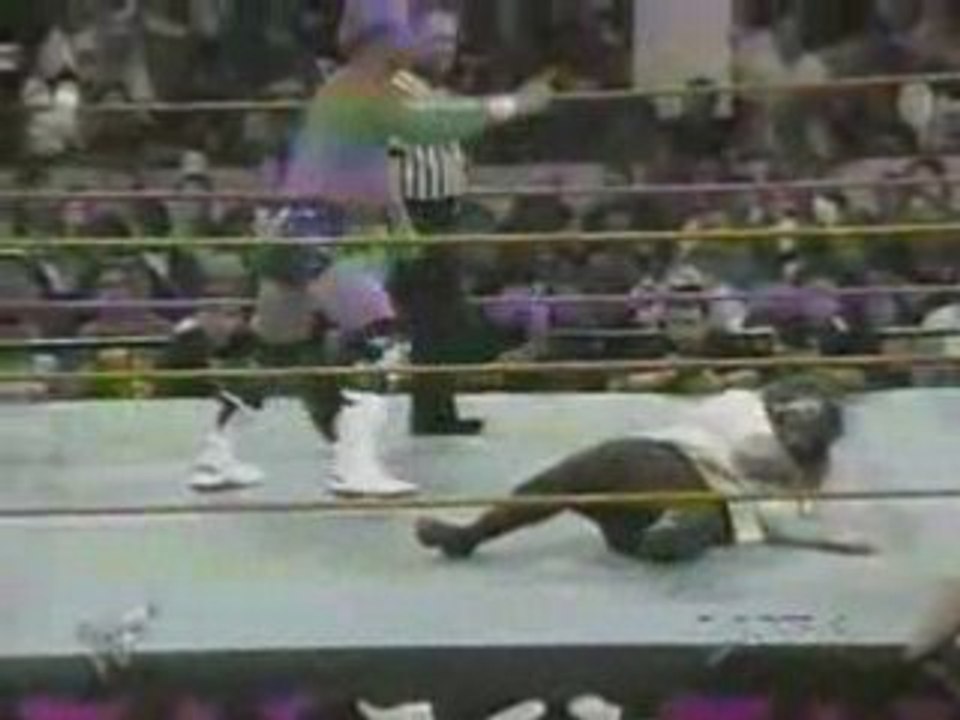 New Age Outlaws vs Mankind & Kane