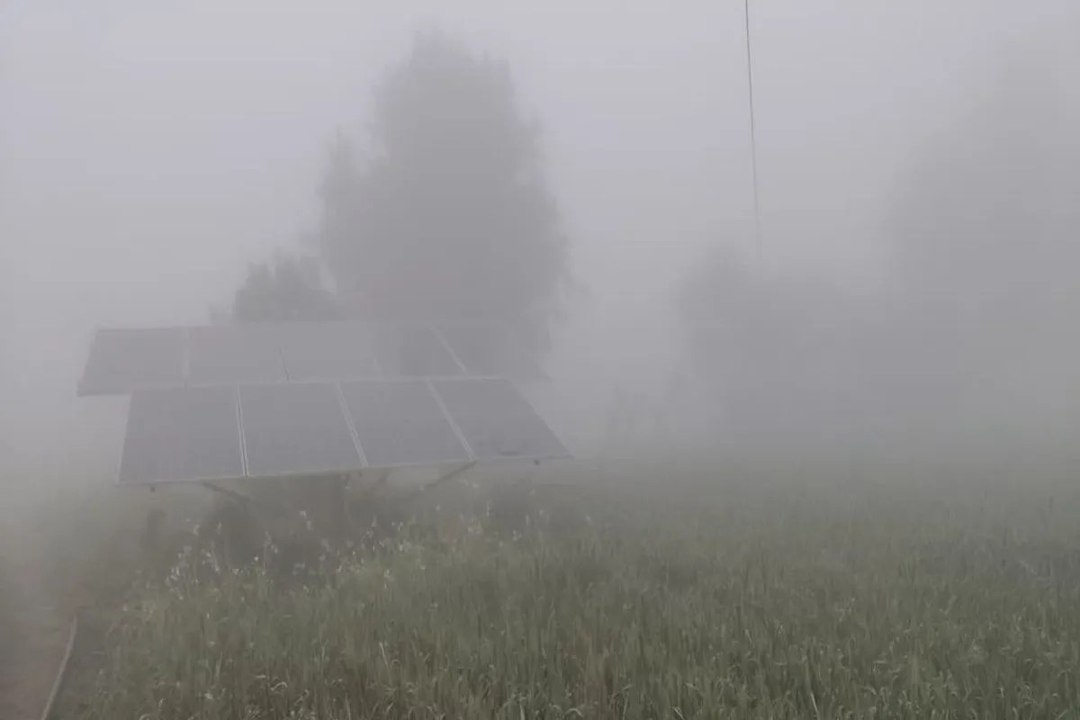 कोहरे की चादर में लिपटा बस्सी अंचल, हाइवे पर थमी रफ्तार