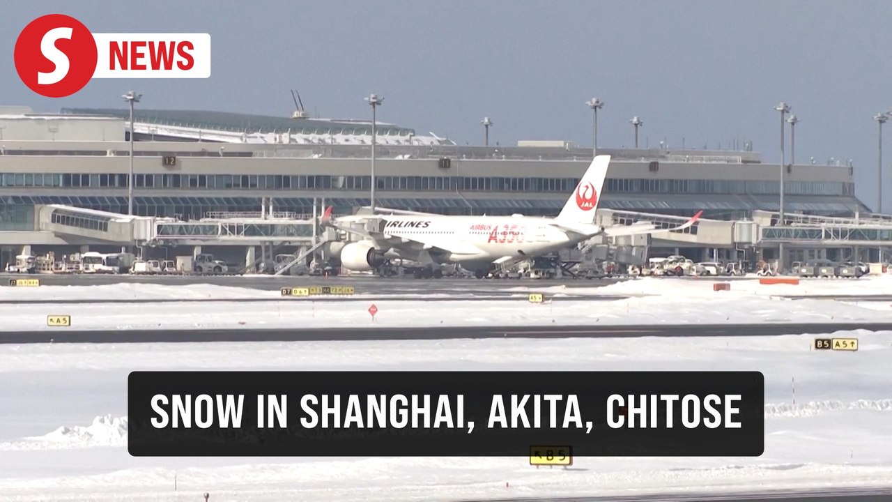 Cold wave brings rare snowfall to Shanghai, dis...