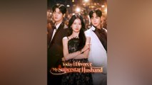 Today I Divorce My Superstar Husband - Full Movie