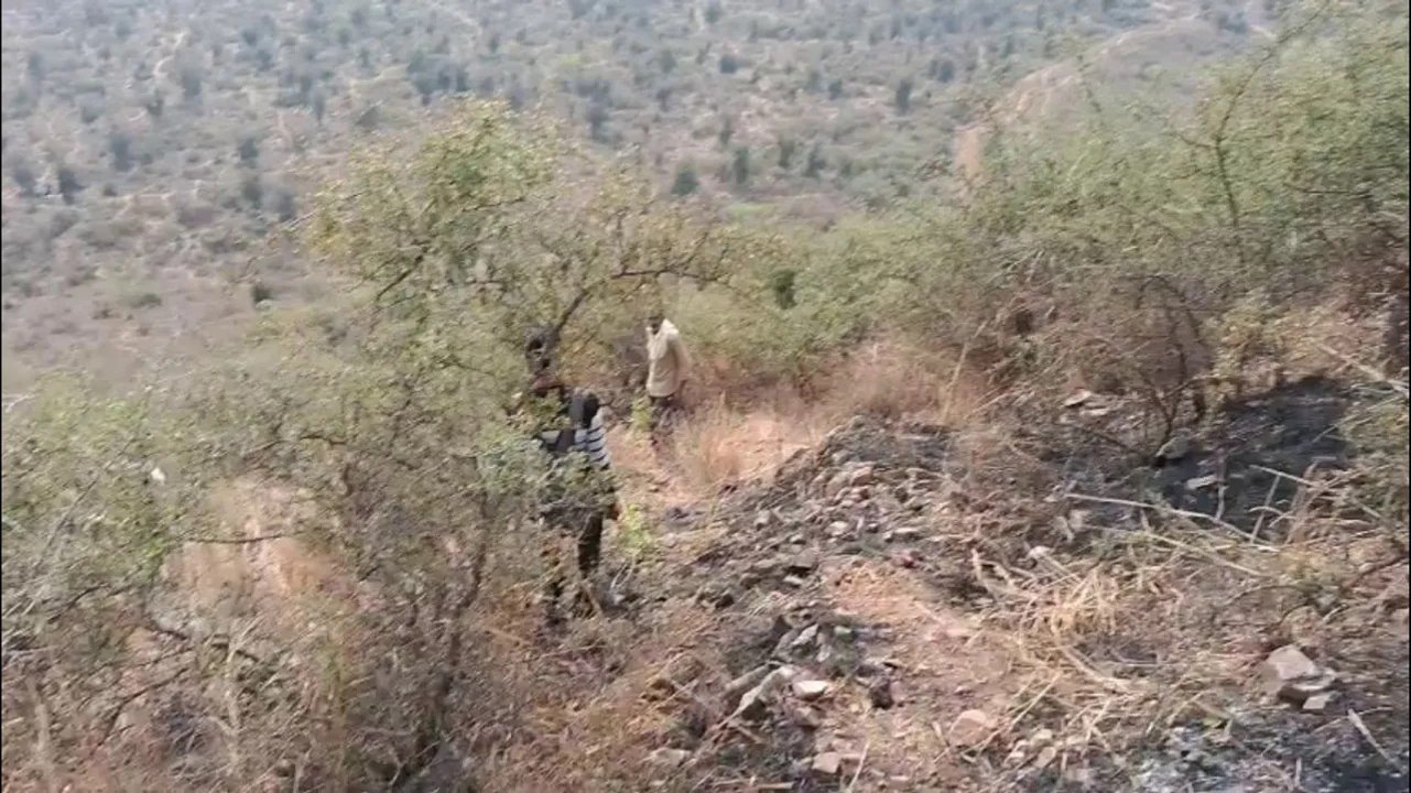 मोतीवाड़ा प्लांटेशन की पहाड़ी पर लगी आग, वन विभाग व स्कूल स्टाफ की तत्परता से टला बड़ा हादसा