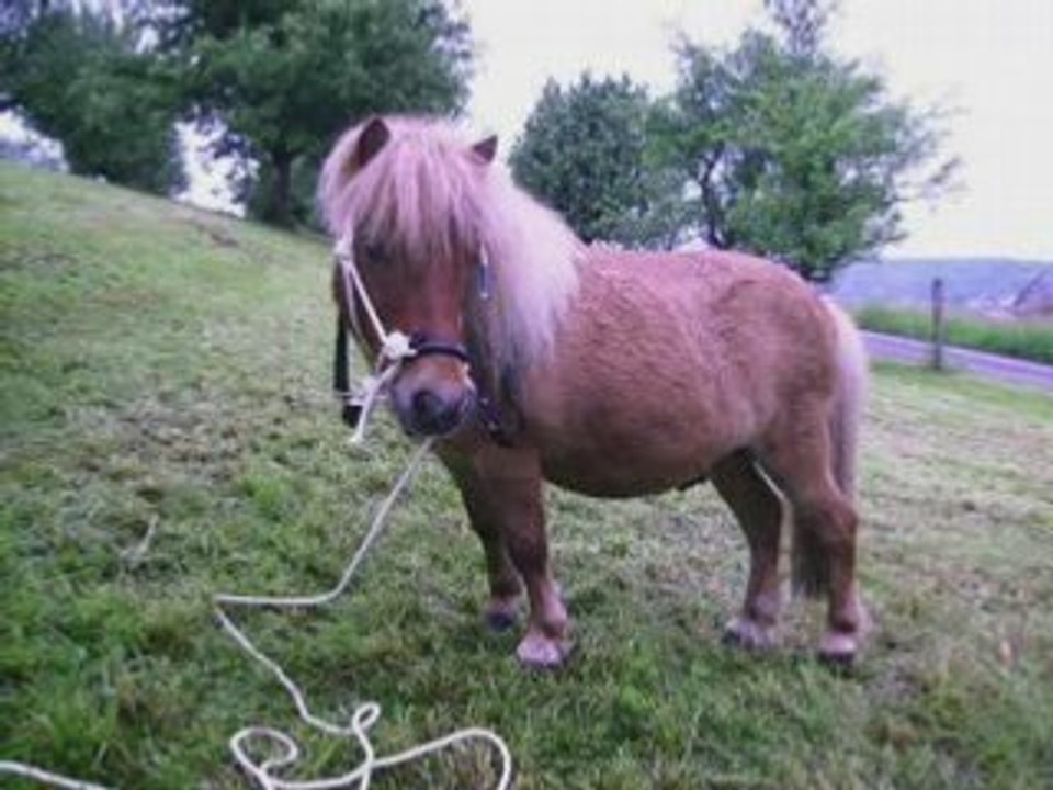 Samedi avec Gaggagagga_0001