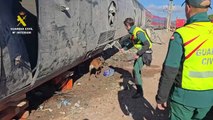 Perros especialistas de la Guardia Civil participan en la investigación del accidente de Adamuz