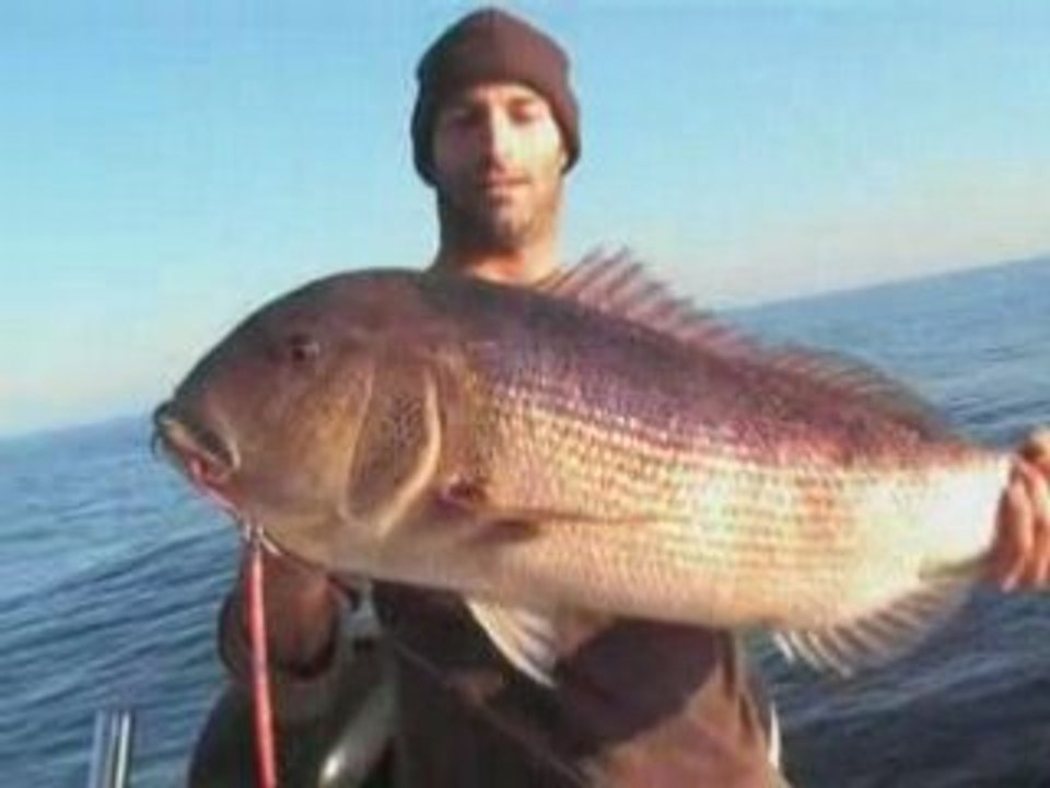 Dès que j'Te vois ! by www.bastia-offshore-fishing.com