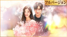 嵐のような結婚生活 (吹き替え)