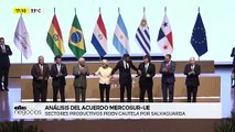 ABC Negocios: Análisis del acuerdo Mercosur - UE
