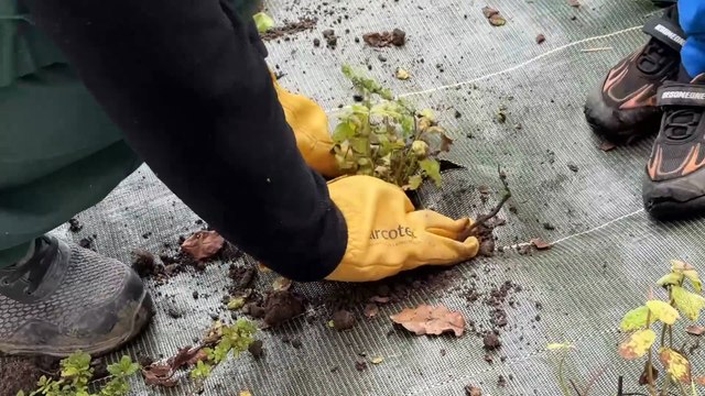 Moins de béton, plus de nature : à Firminy, l’école du Mas change de visage